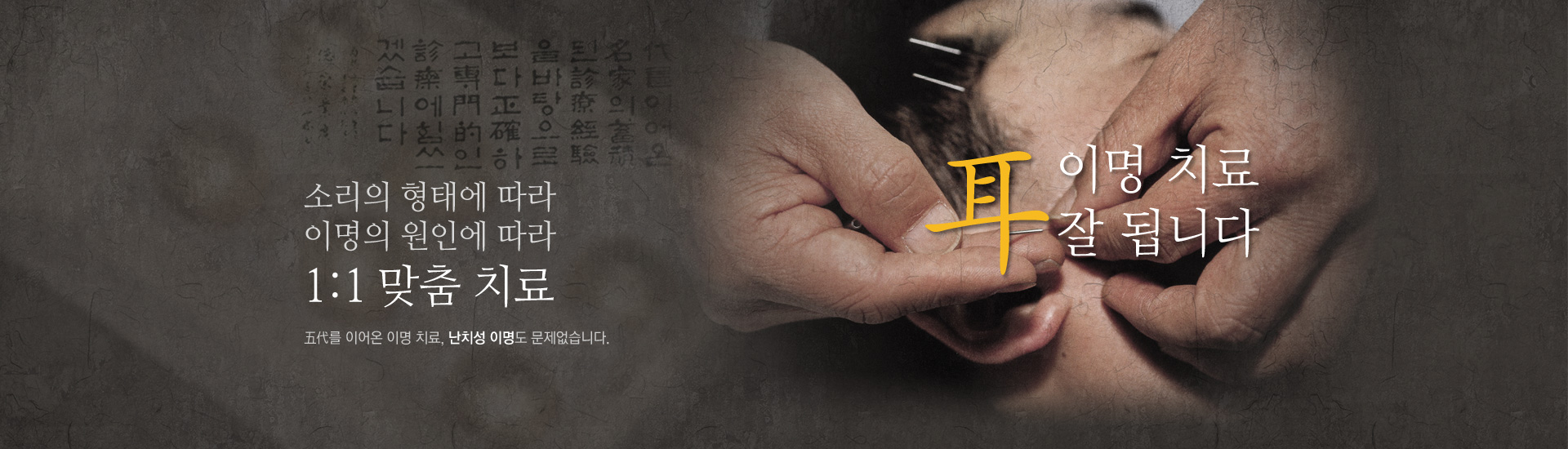 이명치료율 올리는 이명탕